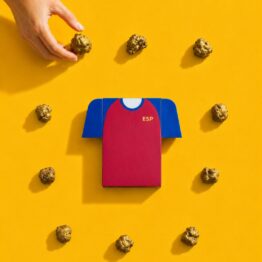 CAMISETA DE ESPAÑA
