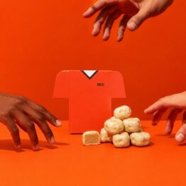CAMISETA DE HOLANDA